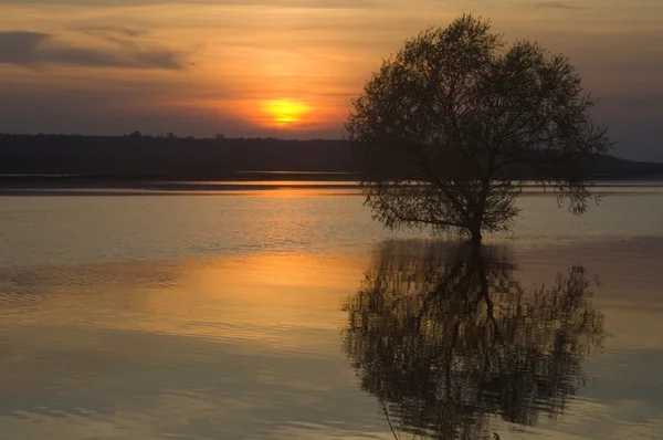 stock image Sunset