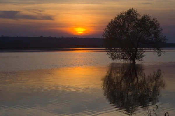 stock image Sunset