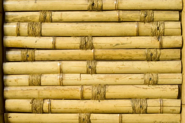 stock image Bamboo