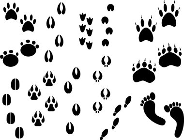 Footprints clipart