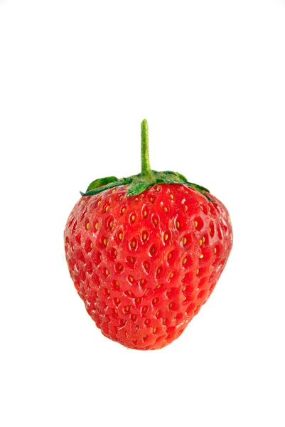 Einzelne Erdbeere — Stockfoto