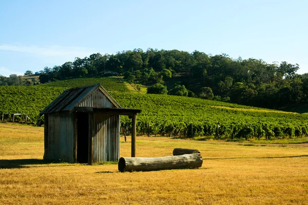 Shack In een wijngaard — Stockfoto