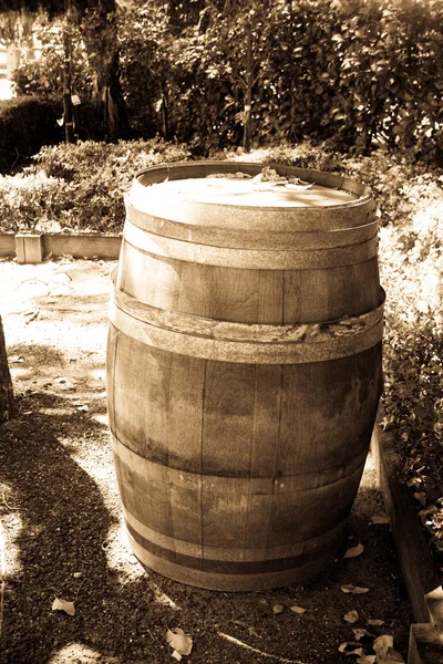 Drewniana beczka na wino — Zdjęcie stockowe
