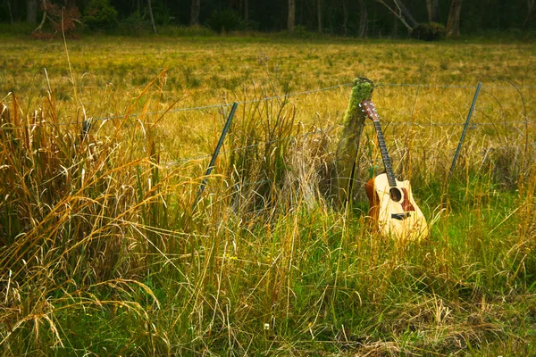 Houten akoestische gitaar op een veld — Stockfoto