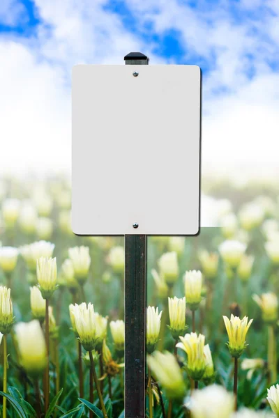 stock image Blank Signpost