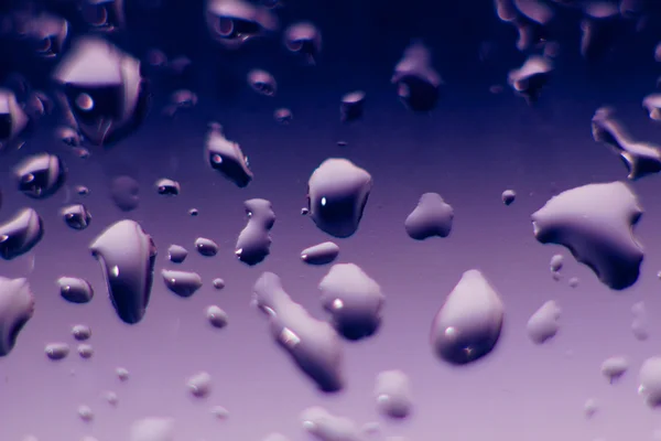 stock image Water drops on glass