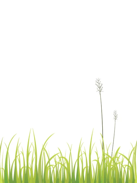 绿色的草地 — 图库矢量图片