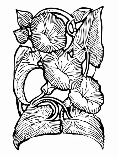Black and white drawing flower — Stock Photo, Image