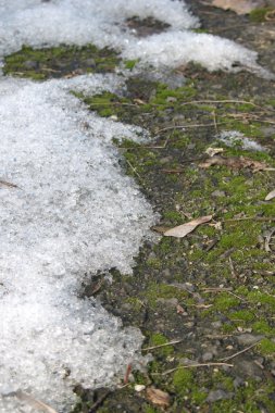 última nieve de primavera