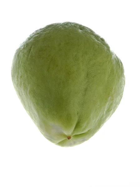 En grönsak mot vit bakgrund — Stockfoto