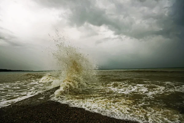 The storm — Stock Photo, Image
