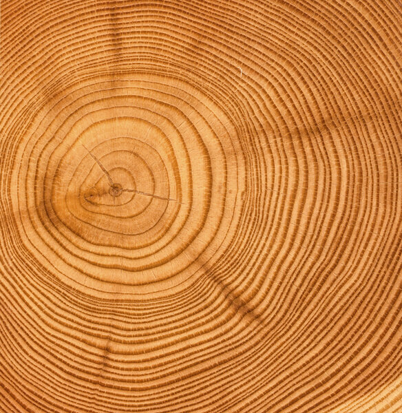 текстура деревянной резки

