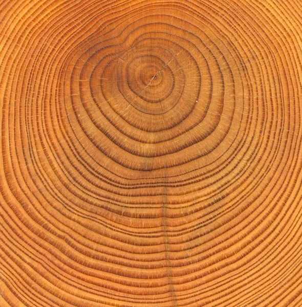 Дерев'яні cut текстури — стокове фото