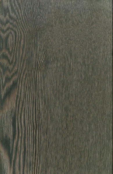 Wooden cut texture — Stock Photo, Image