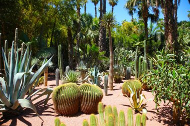 Majorelle Bahçe