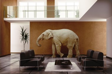 Elephant indoor clipart