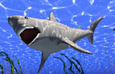 Big shark clipart