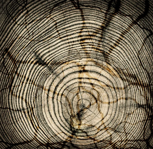 Дерев'яні cut текстури — стокове фото
