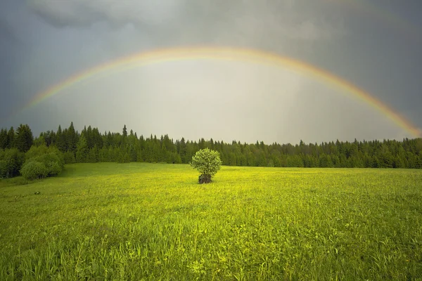 L'arcobaleno — Foto Stock