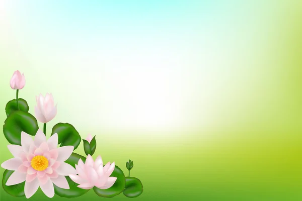 Hintergrund mit Lotusblumen — Stockvektor