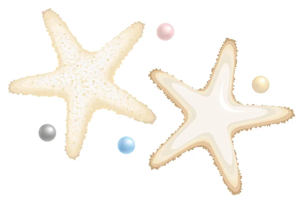 Starfishes와 흰색 절연 Perls — 스톡 벡터