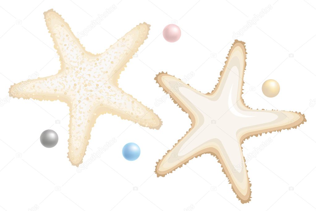 Starfishes and Perls Isolated on White