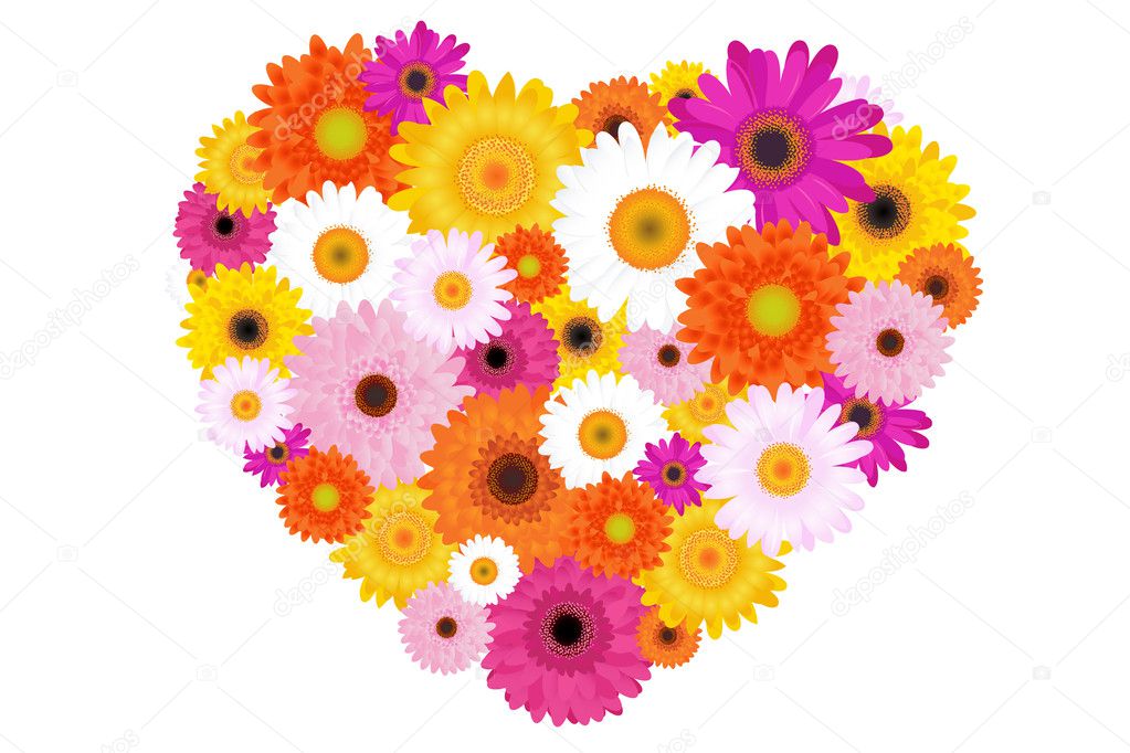 Heart Made Of Colorful Daisies