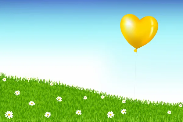 Ballon boven gras heuvel met camomiles — Stockvector