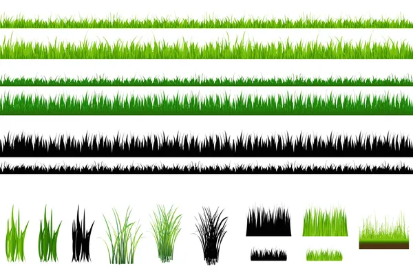 Grass collection, Isolated On White — Stock Vector