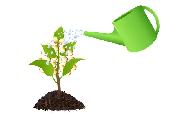 Money plant with watering can — Stock Vector