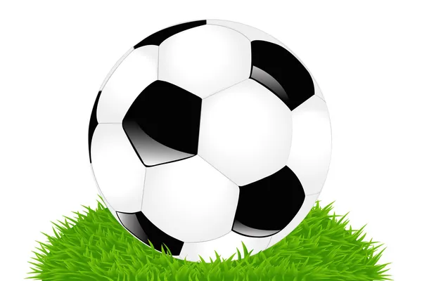 Klasický fotbalový míč na trávě — Stockový vektor