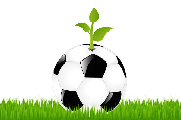 Voetbal met sprout — Stockvector