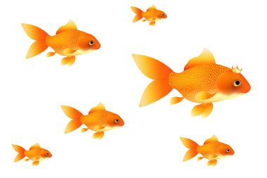 Goldfishes clipart