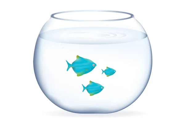 Peixes azuis no aquário —  Vetores de Stock