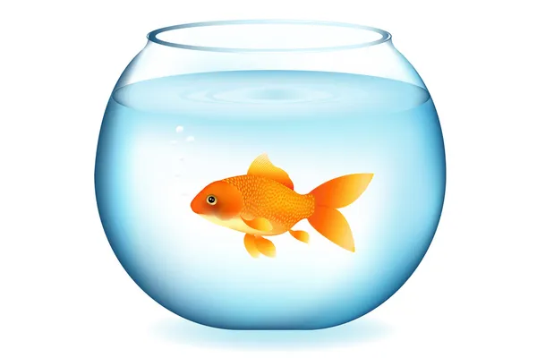 Peixe-dourado no aquário —  Vetores de Stock