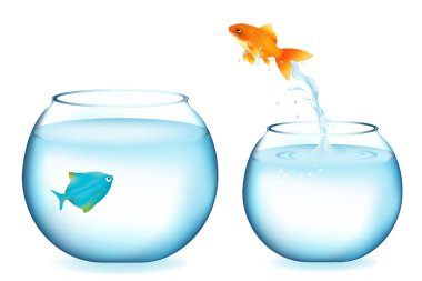 Goldfish Jumping To Other Fish clipart