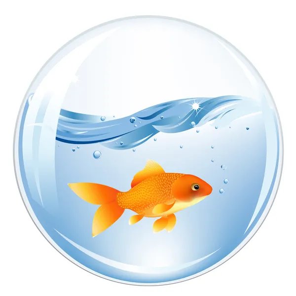 Boll med guldfiskar i vatten — Stock vektor
