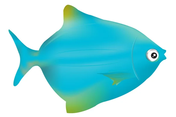 Blue Fish — Stock Vector