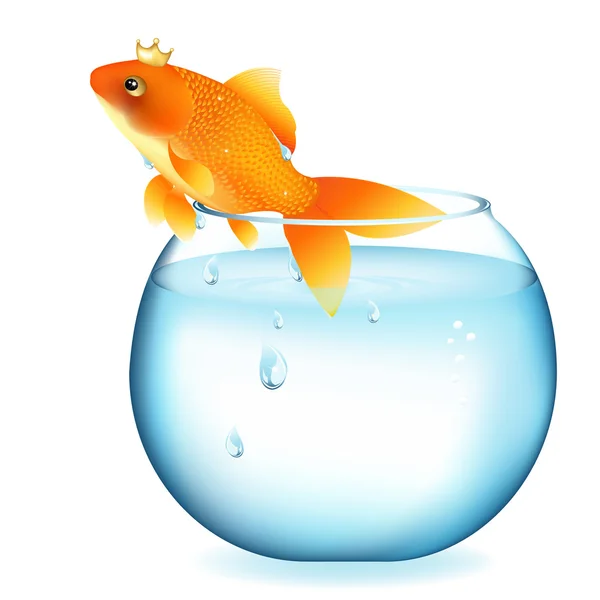 Dreaming Goldfish In Aquarium — Stock Vector