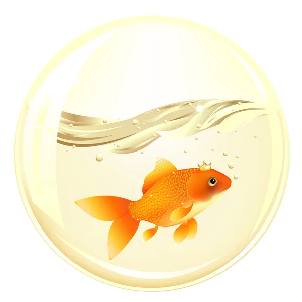 Boll med guldfisk — Stock vektor