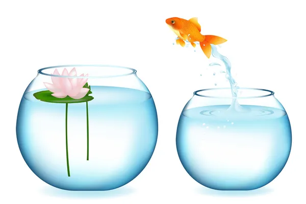 Jumping Goldfish — Stock Vector