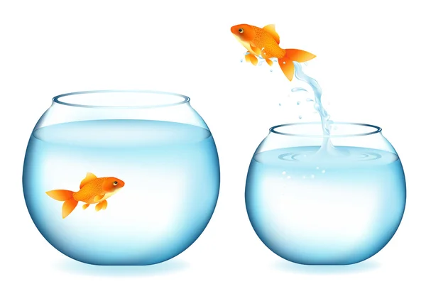Goldfish Jumping To Other Goldfish — Stock Vector