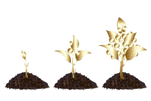 Processus de vie de Golden Tree — Image vectorielle