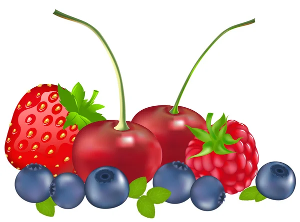 Набор ягод — стоковый вектор