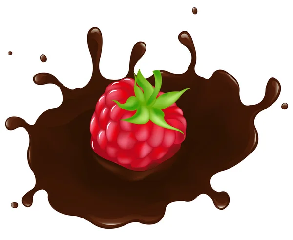 Framboesa em Chocolate Splash —  Vetores de Stock