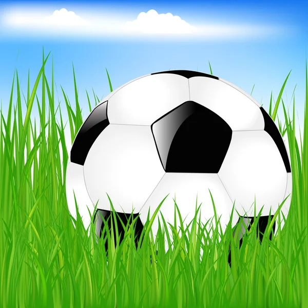 Klasický fotbalový míč v trávě — Stockový vektor