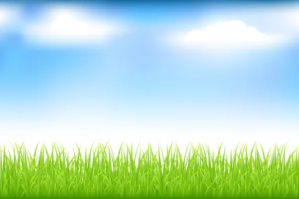 Πράσινο γρασίδι και μπλε ουρανός — Διανυσματικό Αρχείο