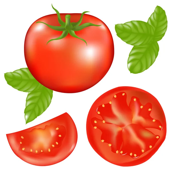 Tomate com fatias de tomate e folhas de manjericão — Vetor de Stock
