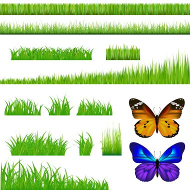 2 Butterflies And Green Grass Set clipart