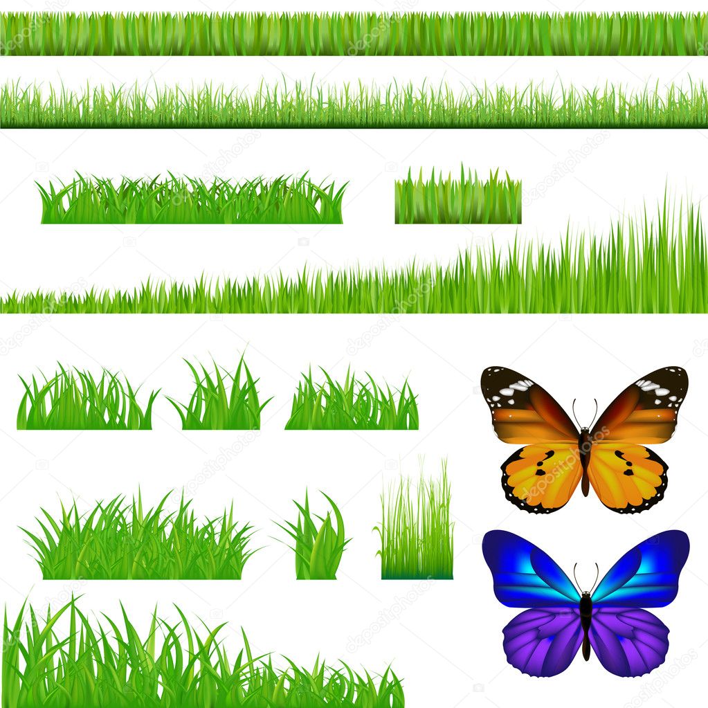 2 Butterflies And Green Grass Set